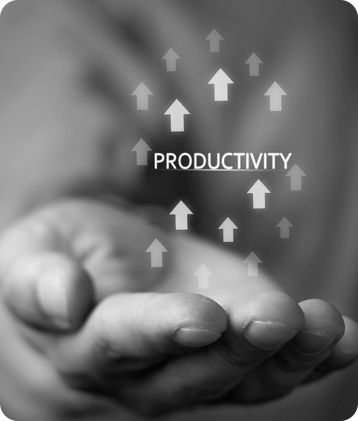 Impact Section-Productivity