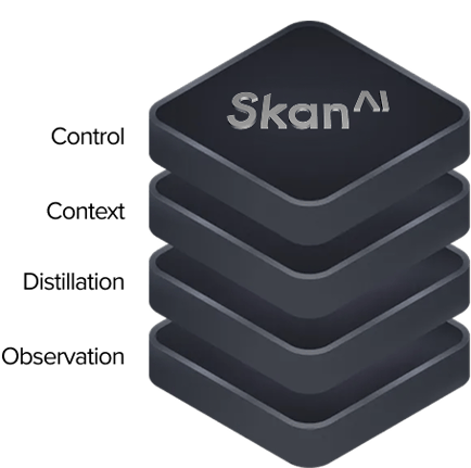 How Skan AI Works